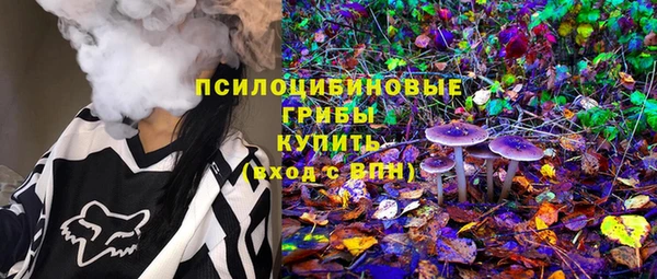 прущие грибы Вяземский