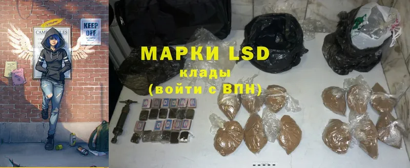 shop наркотические препараты  Новоалександровск  LSD-25 экстази кислота  где можно купить наркотик 